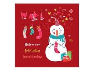 Produits entretien MICROFIBRE Joyeuses Fêtes