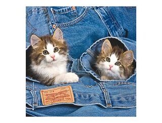 Produits entretien MICROFIBRE Bébés Chatons