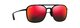 Black red tortois Rose