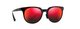 Red black tortoise