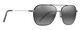 Black w Silver Stripe