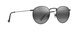 SHINY DARK RUTHENIUM