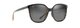 BLACK GLOSS / TORTOISE