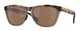 BROWN TORTOISE/BROWN SMOKE