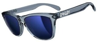 Lunettes de soleil FROGSKINS