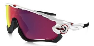 Lunettes de soleil Jawbreaker OO9290-05