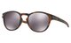 Matte Brown Tortoise