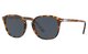 TORTOISE BROWN