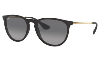 Lunettes de soleil RB4171