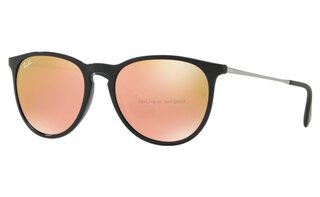 Lunettes de soleil RB4171