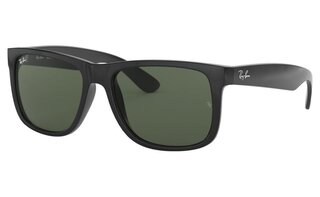 Lunettes de soleil RB4165