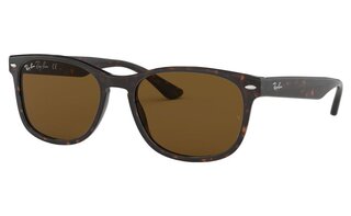 Lunettes de soleil RB2184