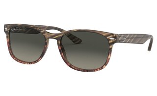 Lunettes de soleil RB2184