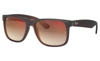 Lunettes de soleil RB4165F