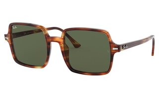 Lunettes de soleil RB1973