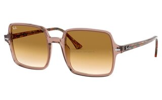 Lunettes de soleil RB1973