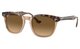 HAVANA ON TRANSPARENT BROWN