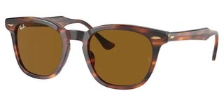 Lunettes de soleil RB2298 954-33