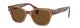 TRANSPARENT BROWN