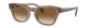 TRANSPARENT LIGHT BROWN