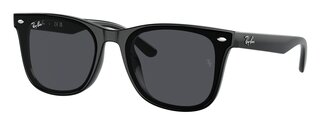Lunettes de soleil RB4420 601-87