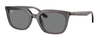 Lunettes de soleil RB4439D 667587