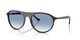 HAVANA BLUE TURTLE
