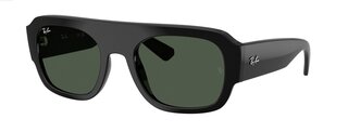Lunettes de soleil RB2218 667771