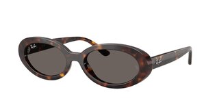 Lunettes de soleil RB2223 902-B1