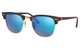 Sand Havana / Gold
