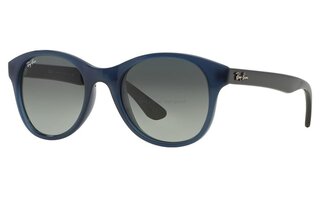 Lunettes de soleil RB4203