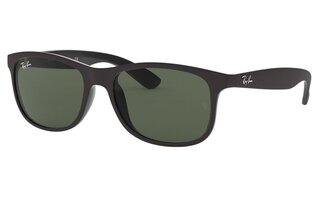 Lunettes de soleil RB4202