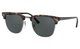 Tortoise / Black