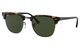 Tortoise / Black