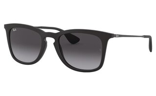 Lunettes de soleil RB4221
