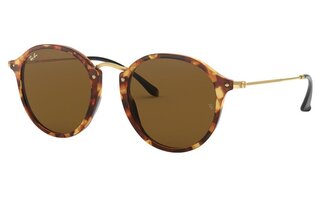 Lunettes de soleil RB2447-1160