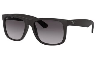 Lunettes de soleil RB4165