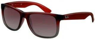 Lunettes de soleil RB4165