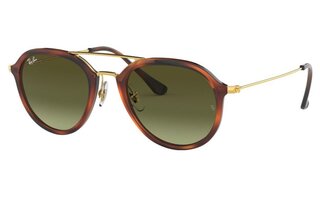 Lunettes de soleil RB4253