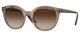 TRANSPARENT BROWN