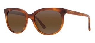 Lunettes de soleil LEGEND 02 VALLEY VU40014I5553G2136