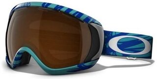 Masques ski snow Canopy