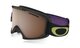 Neuron Retina Purple