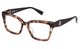 SHINY BROWN HAVANA