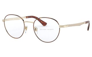 Lunettes de vue PO2460V