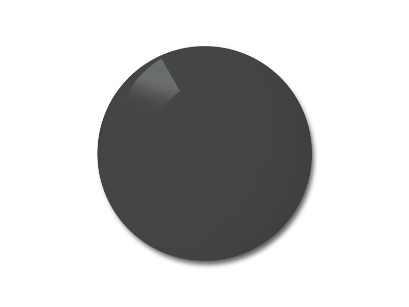 Polycarbonate Polar Dark Grey 81