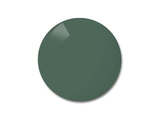 Verres solaires Orga Vert Deg