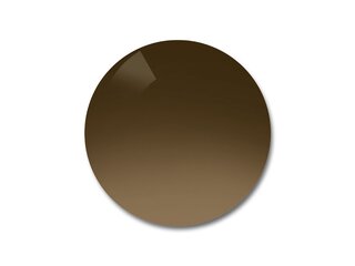 Verres solaires Crystal Brown Vintage Gradient Black 0A