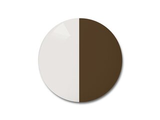 Verres solaires Polycarbonate Transitions Brown M4