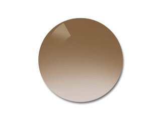 Verres de remplacement Orga Brun Dégradé Bleu